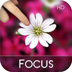 Art Blur FX HD